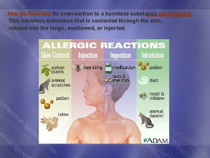 Allergic Reaction Its overreaction to a harmless substance (an allergen) This harmless substance that