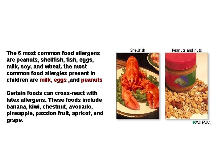 The 6 most common food allergens are peanuts, shellfish, eggs, milk, soy, and wheat.