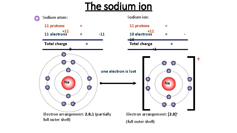 The sodium ion Sodium ion: Sodium atom: 11 protons +11 11 electrons Total charge
