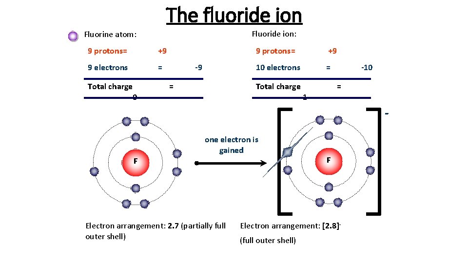 The fluoride ion Fluoride ion: Fluorine atom: 9 protons= +9 9 electrons = Total