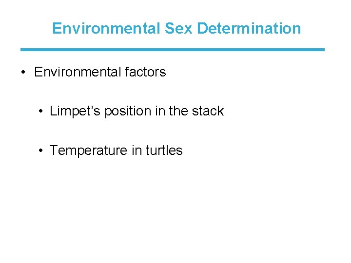 Environmental Sex Determination • Environmental factors • Limpet’s position in the stack • Temperature