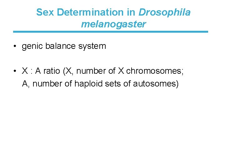 Sex Determination in Drosophila melanogaster • genic balance system • X : A ratio