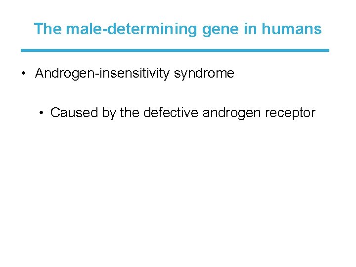 The male-determining gene in humans • Androgen-insensitivity syndrome • Caused by the defective androgen