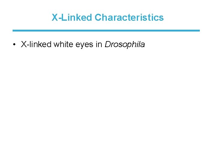 X-Linked Characteristics • X-linked white eyes in Drosophila 