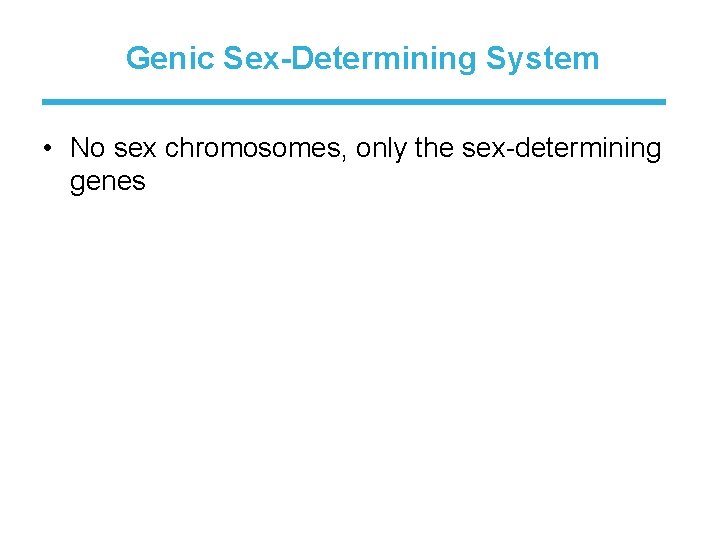 Genic Sex-Determining System • No sex chromosomes, only the sex-determining genes 