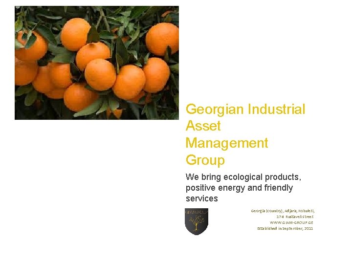 Georgian Industrial Asset Management Group We bring ecological products, positive energy and friendly services
