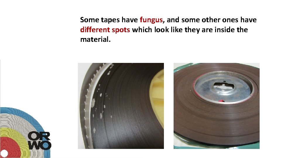Some tapes have fungus, and some other ones have different spots which look like