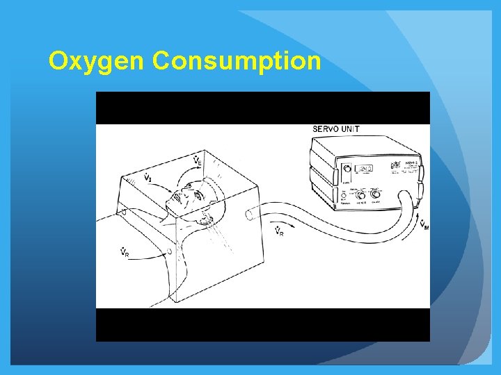 Oxygen Consumption Oxygen Consumption