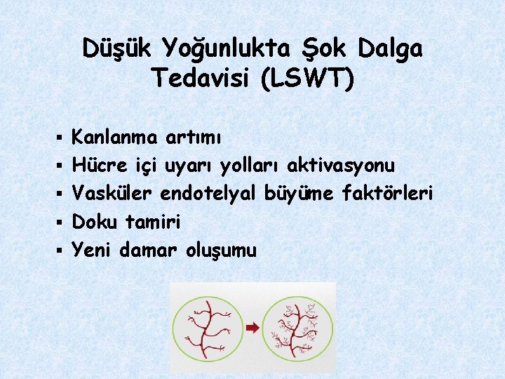 Düşük Yoğunlukta Şok Dalga Tedavisi (LSWT) § § § Kanlanma artımı Hücre içi uyarı