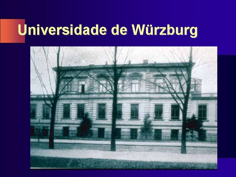 Universidade de Würzburg 