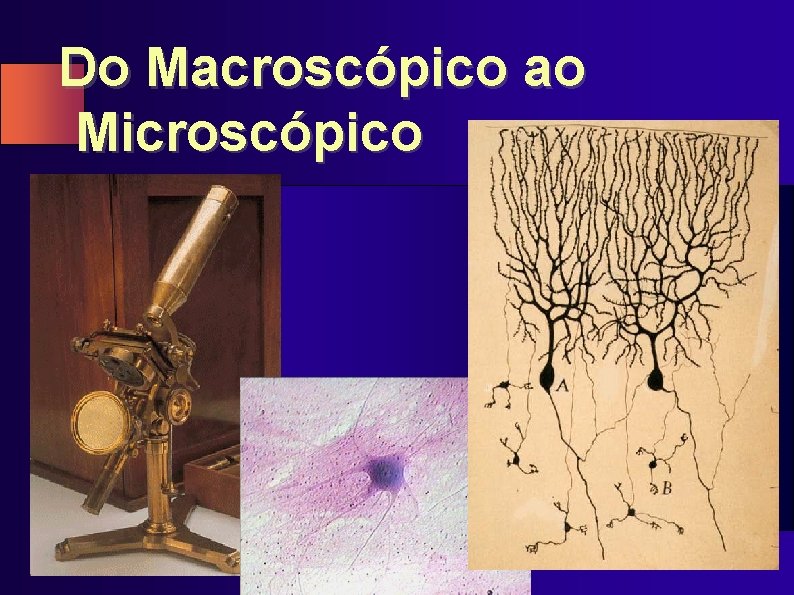 Do Macroscópico ao Microscópico 