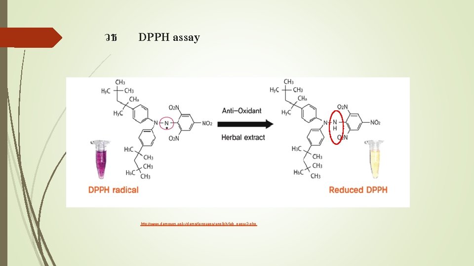 วธ DPPH assay http: //www. damocos. co. kr/damo/language/english/lab_paper 3. php 