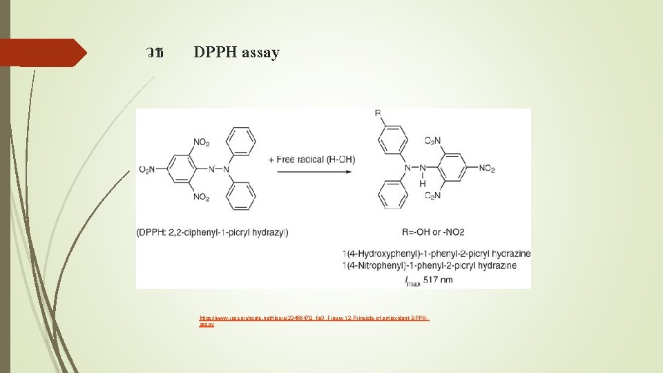 วธ DPPH assay https: //www. researchgate. net/figure/23456470_fig 3_Figure-12 -Principle-of-antioxidant-DPPHassay 