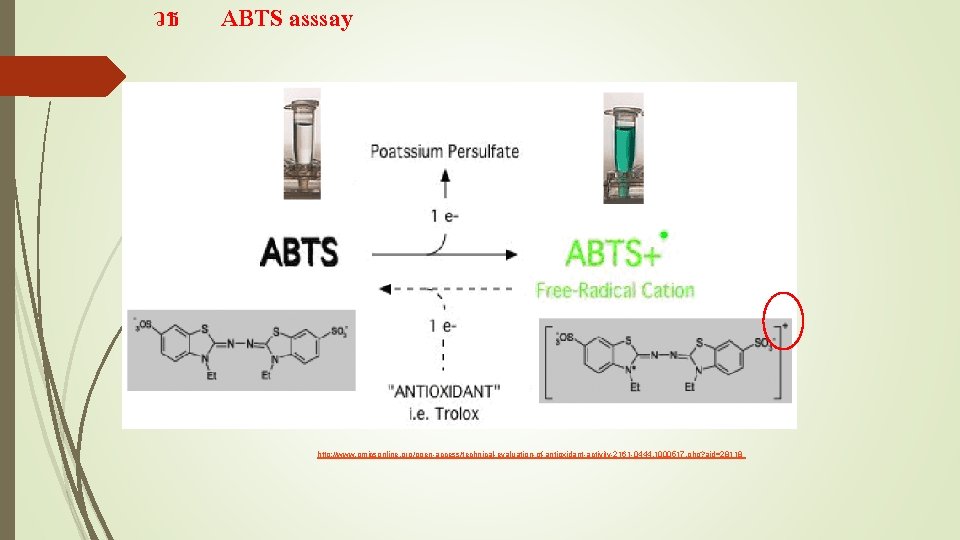 วธ ABTS asssay http: //www. omicsonline. org/open-access/technical-evaluation-of-antioxidant-activity-2161 -0444. 1000517. php? aid=28118 