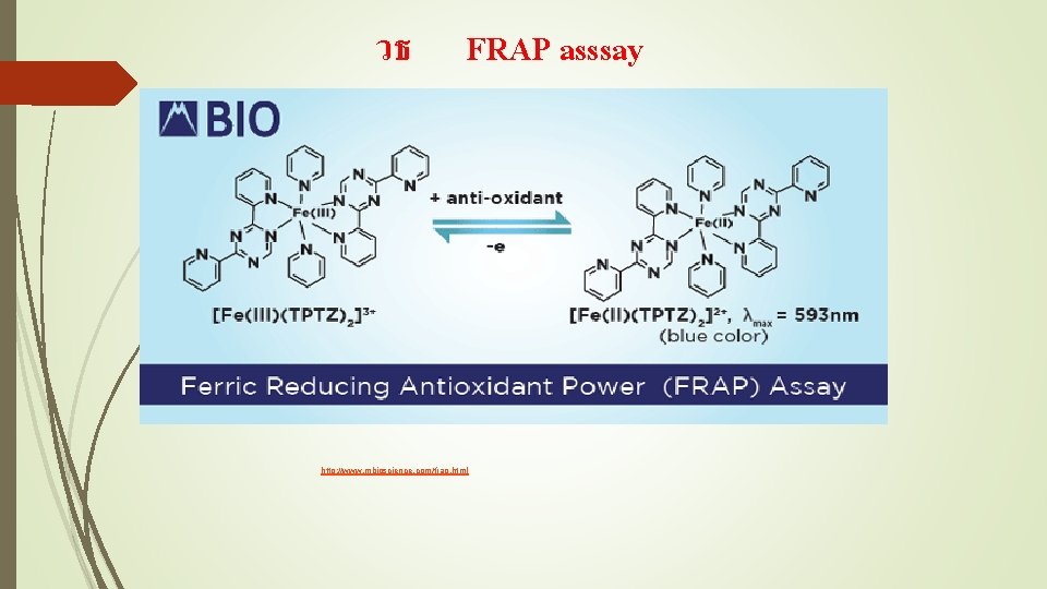 วธ FRAP asssay http: //www. mbioscience. com/frap. html 