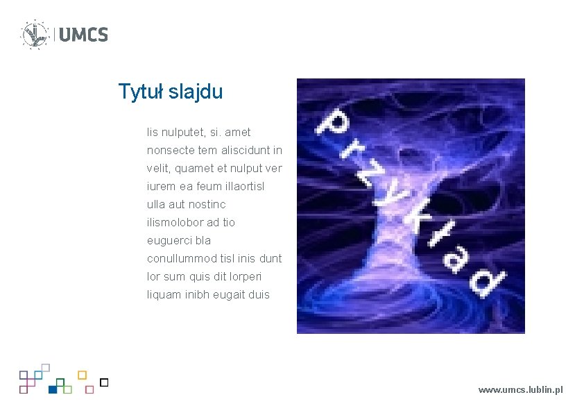 Tytuł slajdu lis nulputet, si. amet nonsecte tem aliscidunt in velit, quamet et nulput