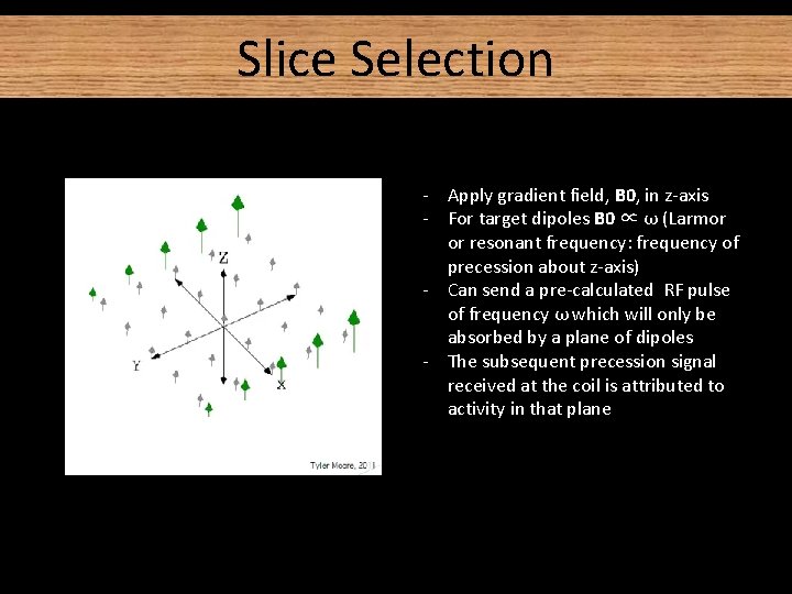 Slice Selection - Apply gradient field, B 0, in z-axis - For target dipoles Slice Selection - Apply gradient field, B 0, in z-axis - For target dipoles
