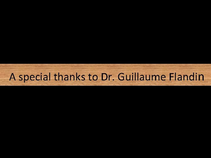 A special thanks to Dr. Guillaume Flandi n A special thanks to Dr. Guillaume Flandi n