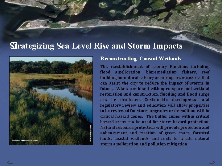 Strategizing Sea Level Rise and Storm Impacts � Reconstructing Coastal Wetlands The reestablishment of