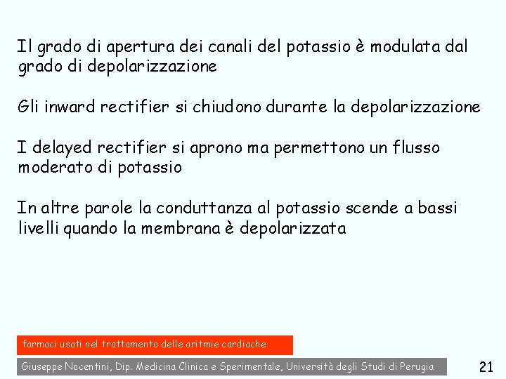 Il grado di apertura dei canali del potassio è modulata dal grado di depolarizzazione