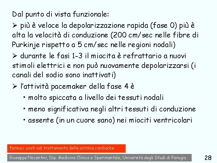 Dal punto di vista funzionale: Ø più è veloce la depolarizzazione rapida (fase 0)