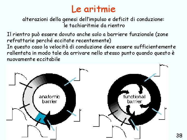 Le aritmie alterazioni della genesi dell’impulso e deficit di conduzione: le tachiaritmie da rientro