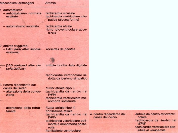 farmaci usati nel trattamento delle aritmie cardiache Giuseppe Nocentini, Dip. Medicina Clinica e Sperimentale,