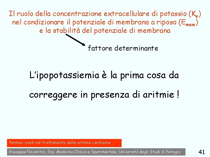 Il ruolo della concentrazione extracellulare di potassio (K e) nel condizionare il potenziale di