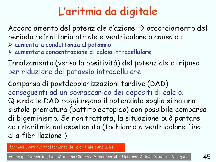 L’aritmia da digitale Accorciamento del potenziale d’azione accorciamento del periodo refrattario atriale e ventricolare