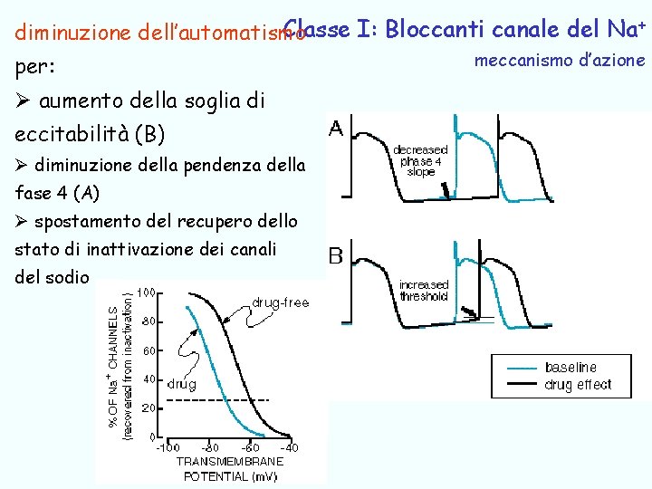 Classe I: Bloccanti canale del Na+ diminuzione dell’automatismo per: meccanismo d’azione Ø aumento della