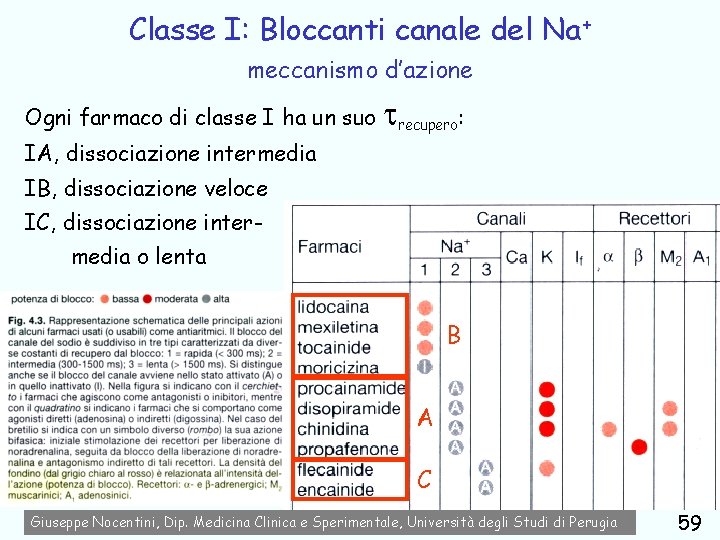 Classe I: Bloccanti canale del Na+ meccanismo d’azione Ogni farmaco di classe I ha