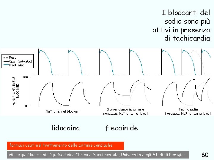 I bloccanti del sodio sono più attivi in presenza di tachicardia lidocaina flecainide farmaci