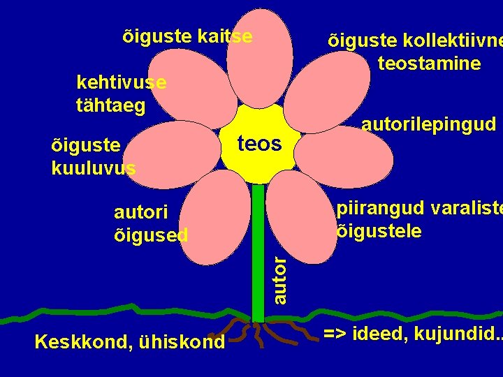 õiguste kaitse õiguste kollektiivne teostamine kehtivuse tähtaeg õiguste kuuluvus teos autorilepingud piirangud varaliste õigustele