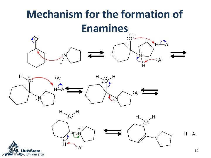 Mechanism for the formation of Enamines 10 Mechanism for the formation of Enamines 10