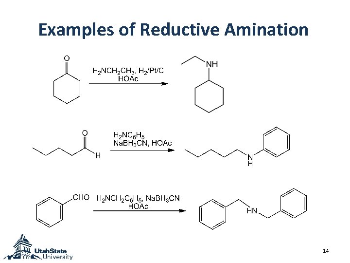 Examples of Reductive Amination 14 Examples of Reductive Amination 14