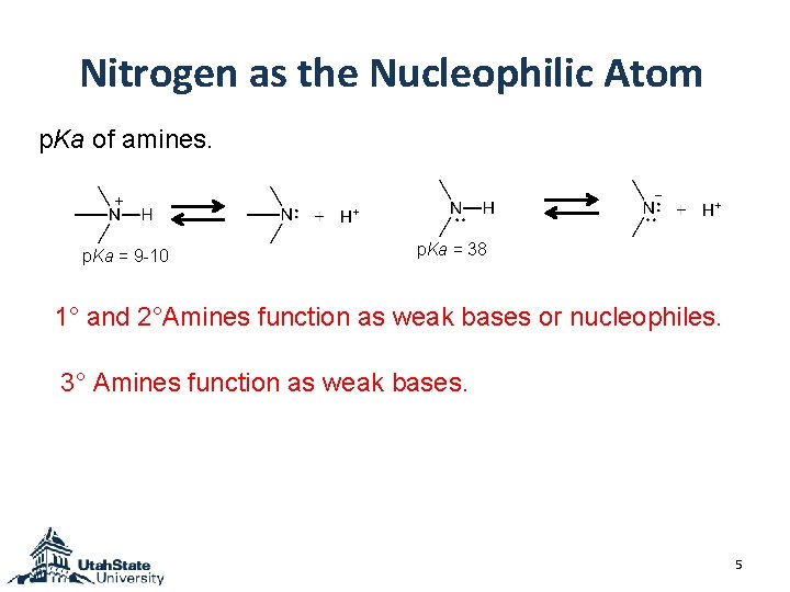 Nitrogen as the Nucleophilic Atom p. Ka of amines. p. Ka = 9 -10 Nitrogen as the Nucleophilic Atom p. Ka of amines. p. Ka = 9 -10