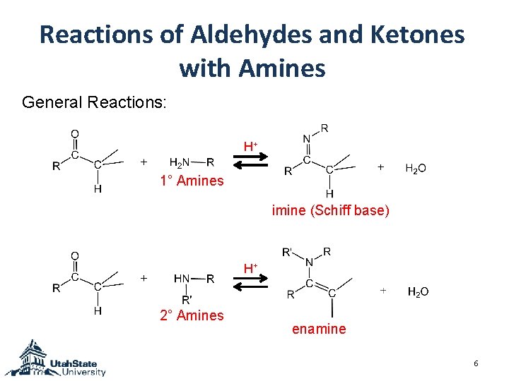 Reactions of Aldehydes and Ketones with Amines General Reactions: H+ 1° Amines imine (Schiff Reactions of Aldehydes and Ketones with Amines General Reactions: H+ 1° Amines imine (Schiff