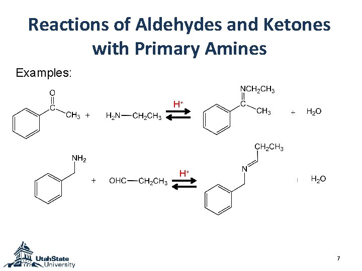 Reactions of Aldehydes and Ketones with Primary Amines Examples: H+ H+ 7 Reactions of Aldehydes and Ketones with Primary Amines Examples: H+ H+ 7