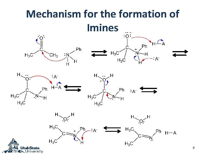 Mechanism for the formation of Imines 9 Mechanism for the formation of Imines 9