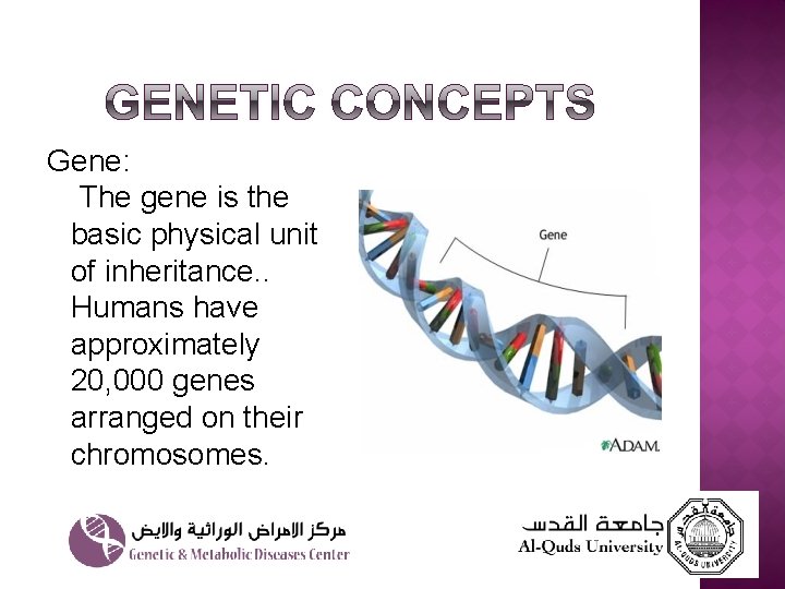 Gene: The gene is the basic physical unit of inheritance. . Humans have approximately