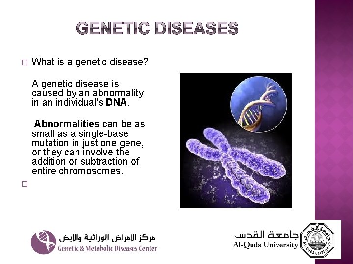 � What is a genetic disease? A genetic disease is caused by an abnormality