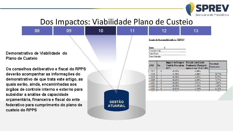 Dos Impactos: Viabilidade Plano de Custeio 08 09 10 11 Demonstrativo de Viabilidade do