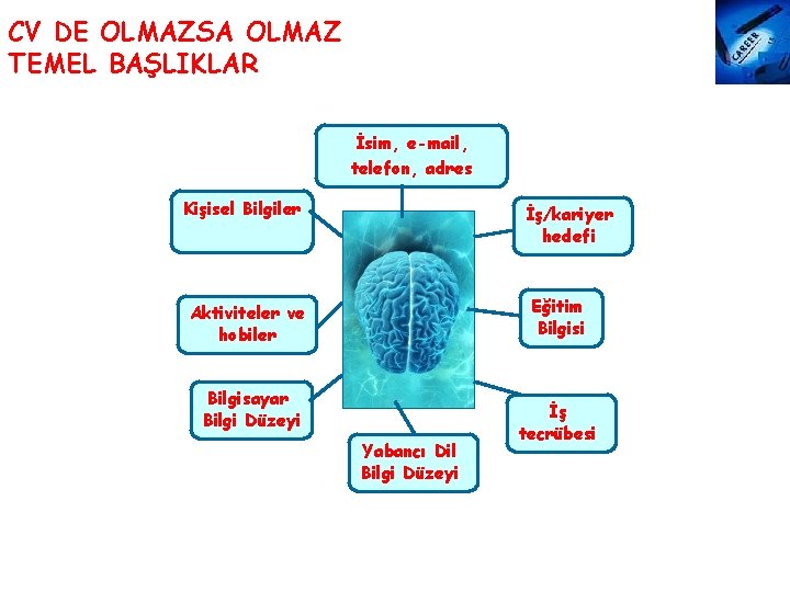 CV DE OLMAZSA OLMAZ TEMEL BAŞLIKLAR İsim, e-mail, telefon, adres Kişisel Bilgiler İş/kariyer hedefi