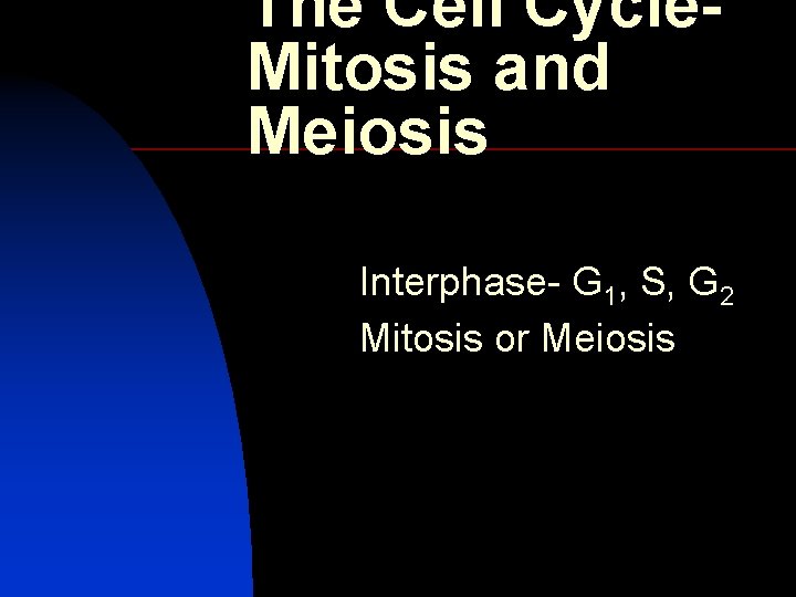 The Cell Cycle. Mitosis and Meiosis Interphase- G 1, S, G 2 Mitosis or