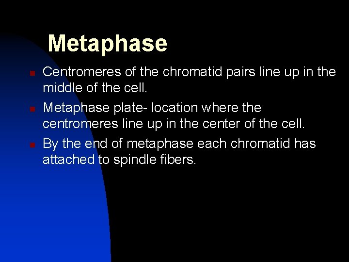 Metaphase n n n Centromeres of the chromatid pairs line up in the middle