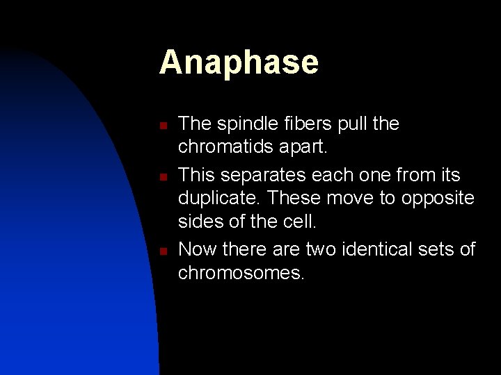 Anaphase n n n The spindle fibers pull the chromatids apart. This separates each