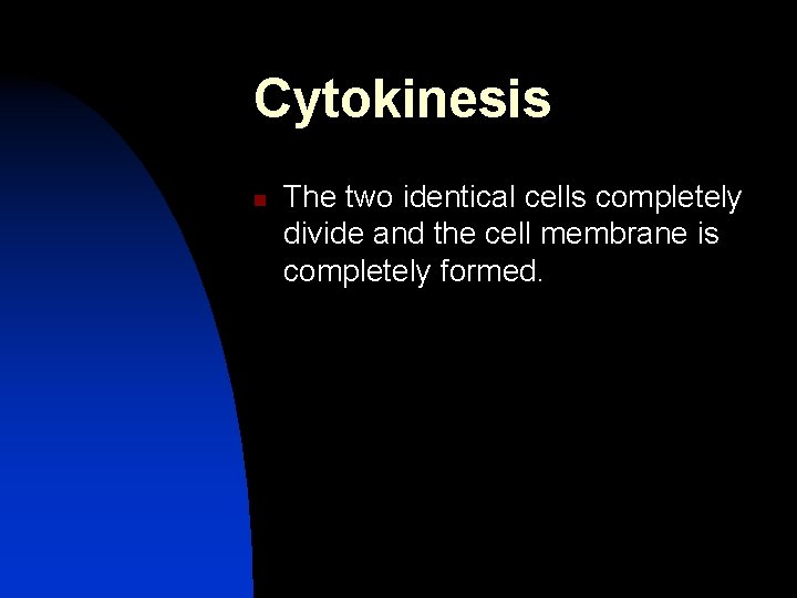 Cytokinesis n The two identical cells completely divide and the cell membrane is completely