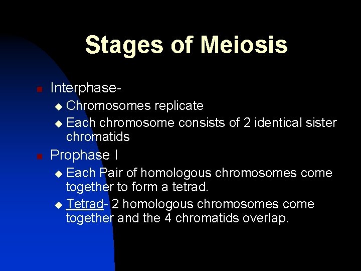 Stages of Meiosis n Interphase. Chromosomes replicate u Each chromosome consists of 2 identical