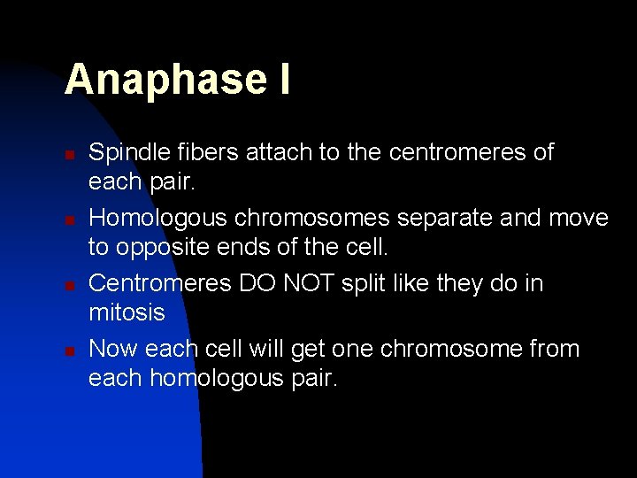 Anaphase I n n Spindle fibers attach to the centromeres of each pair. Homologous