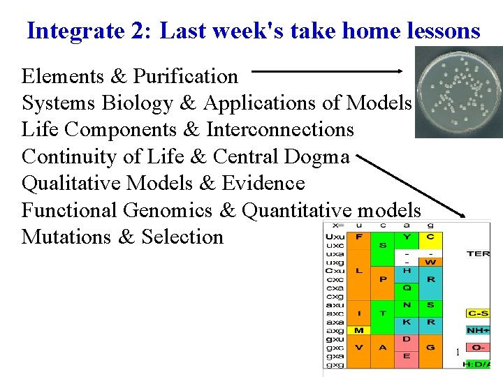 Integrate 2: Last week's take home lessons Elements & Purification Systems Biology & Applications